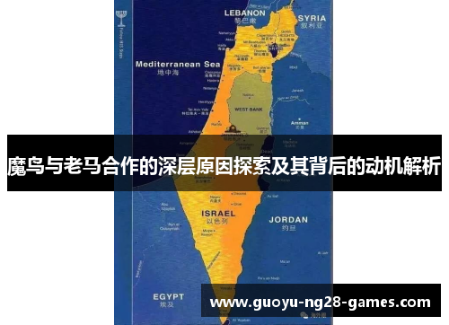 魔鸟与老马合作的深层原因探索及其背后的动机解析