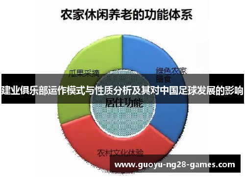 建业俱乐部运作模式与性质分析及其对中国足球发展的影响