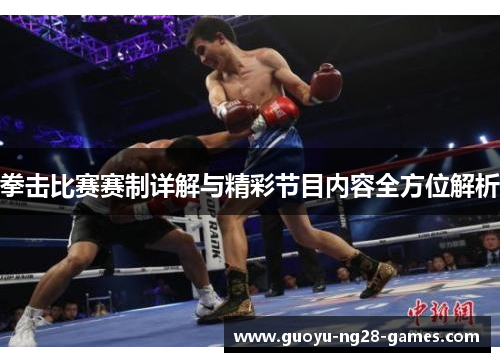 拳击比赛赛制详解与精彩节目内容全方位解析