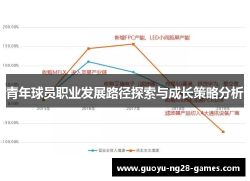 青年球员职业发展路径探索与成长策略分析